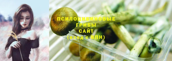 молекула духа Балахна