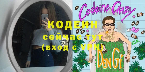 молекула духа Балахна