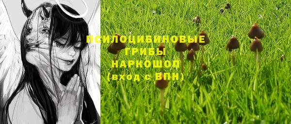молекула духа Балахна