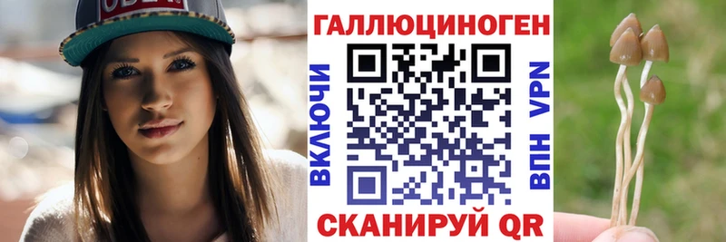 KRAKEN рабочий сайт Волгоград Псилоцибиновые грибы GOLDEN TEACHER