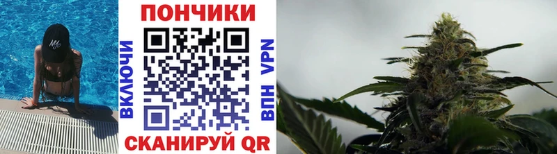МАРИХУАНА планчик  магазин продажи   блэк спрут ССЫЛКА  Волгоград 